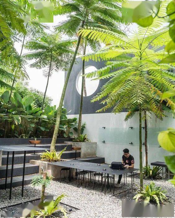 日本顶级杂木庭院500款