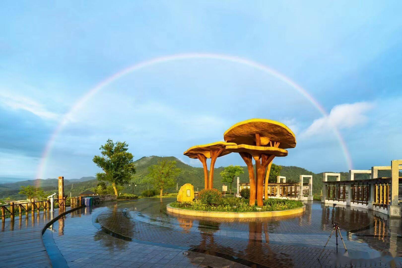 雨后彩虹与灵芝公园交相辉映_山城_灵芝_彩虹