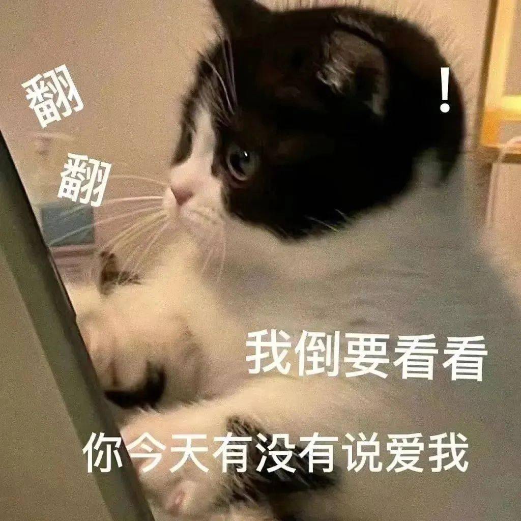 猛男之怒丨第423期喵表情包