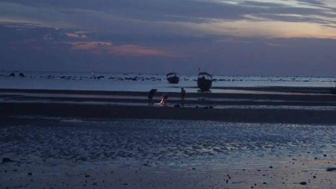 捉鱼蟹、挖海蛎，看海马7X车主们如何沙滩寻宝！