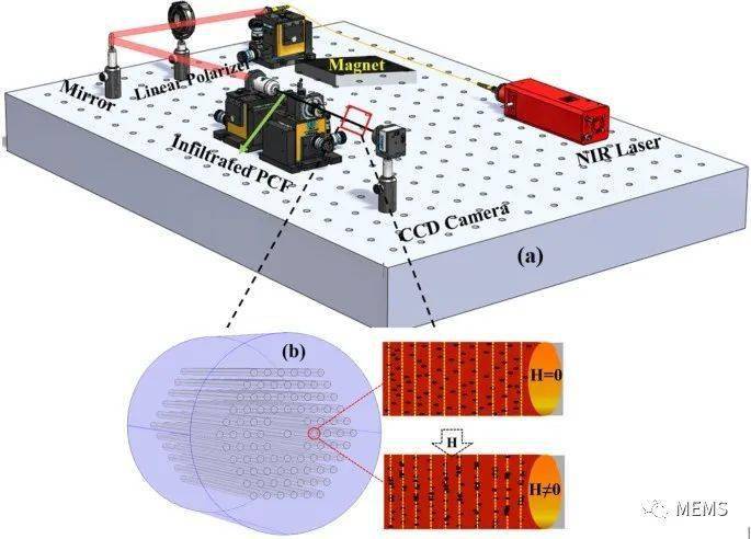 基于磁流体的光子晶体光纤磁场传感器可用于生化和环境感知
