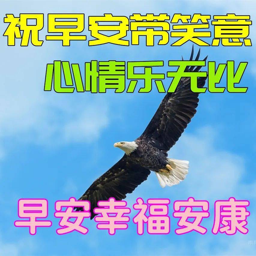 师傅早上好表情包图片