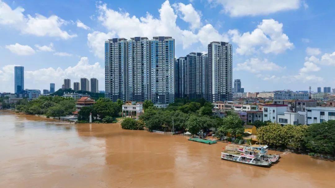 41米!小榄水道持续高水位运行