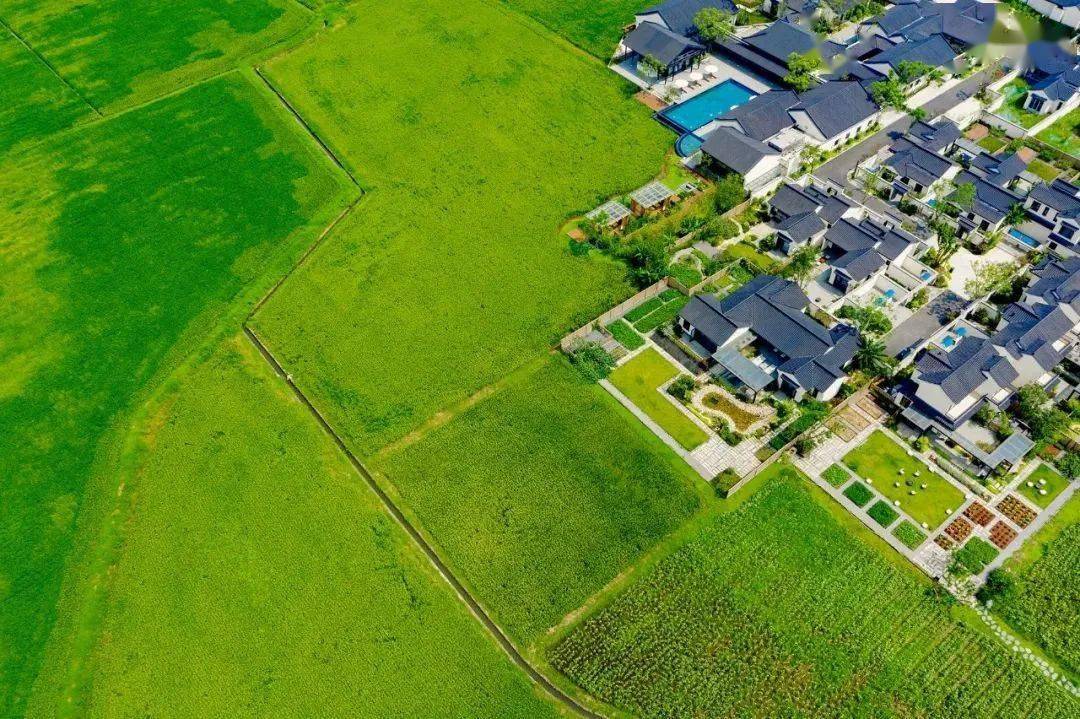 新津蓝城沐春风度假村当晚,现场发布的2022"最成都·生活美学新场景"