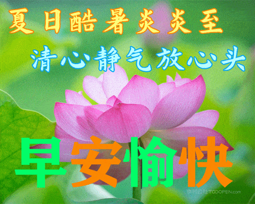 6月24日最新早上好祝福动态表情图片大全早上好问候语句子