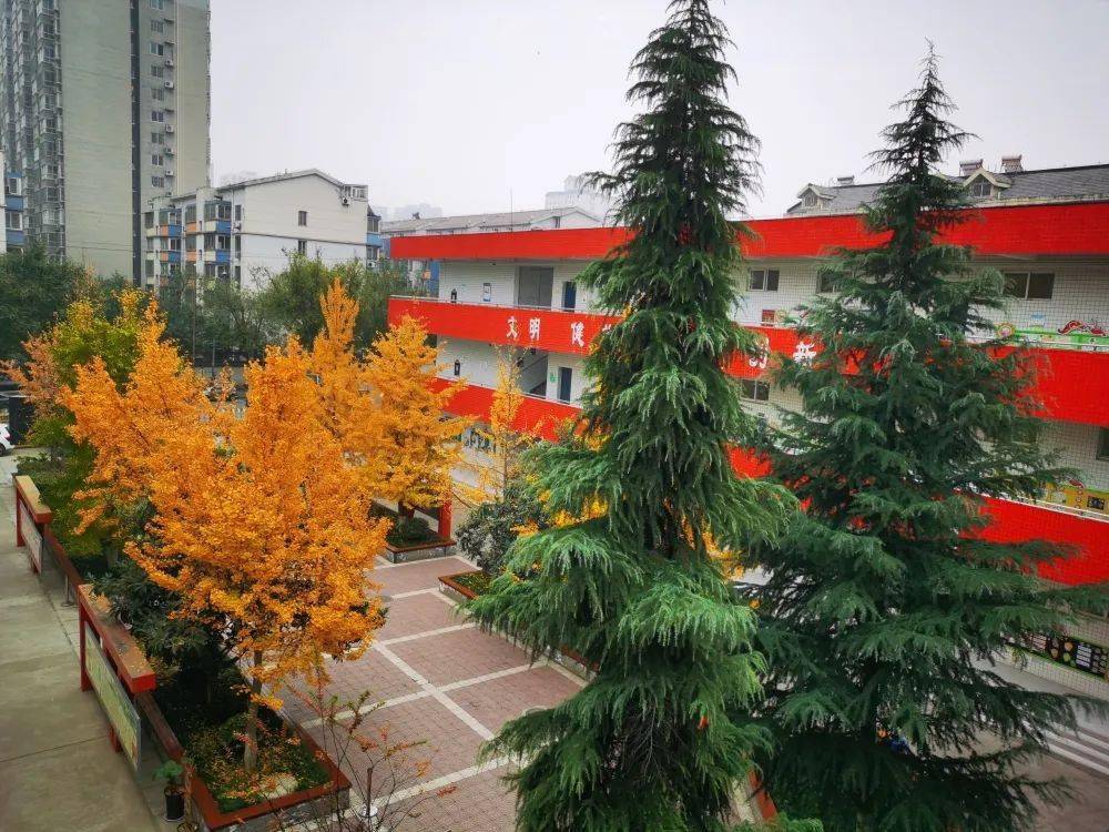 有一所学校,叫"前进"!——未央区东前进小学线上"校园开放日"(一)