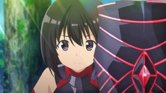 盘点动漫中 最受欢迎的持盾角色_盾牌_普露_英灵