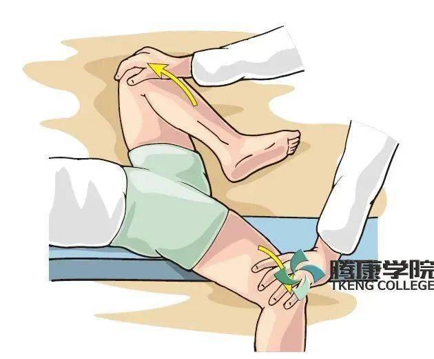 疼痛解剖学骶髂关节功能障碍gaenslen试验