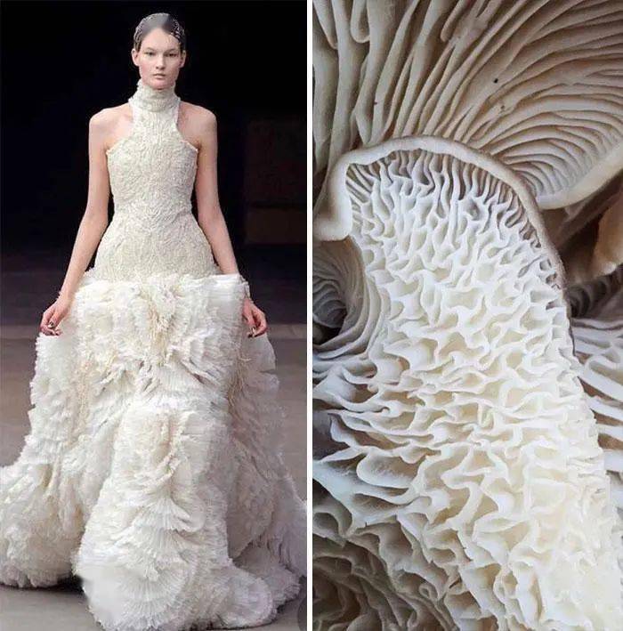 设计师以大自然为灵感,创作的时装太特别了_吉尔·舍曼_服装_作品