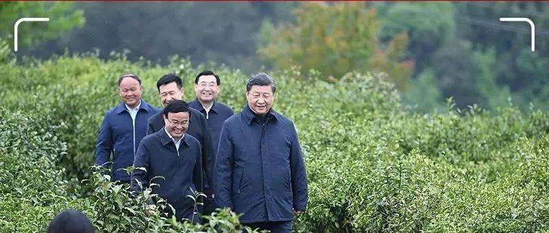 近镜头丨“五位书记”同框照背后的故事_习近平_攻坚_罗显平