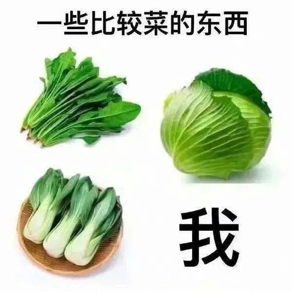 菜汪变色表情包图片