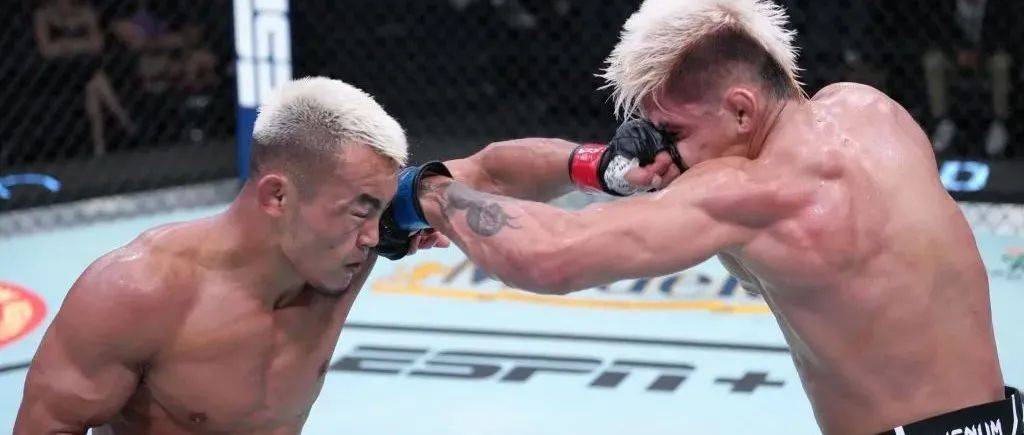 UFC综述:中国沙依兰一致判定击败布朗获UFC两连胜_萨鲁基_回合_地面