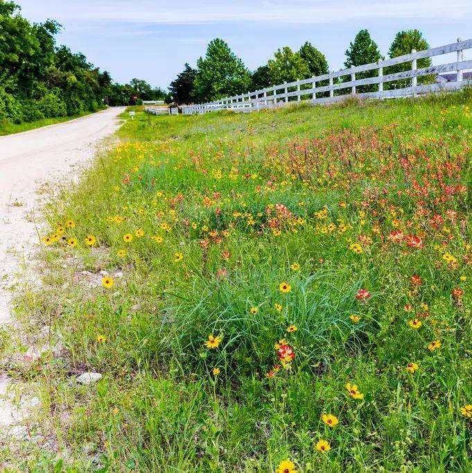 金子般的8句话，送给所有人！_人品_生命_才能
