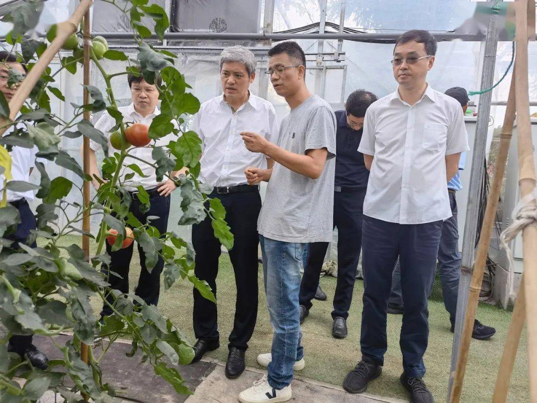 近日,市人大常委会副主任戎雪海带队赴镇海区开展乡村振兴工作调研