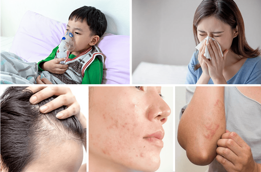 屋里有盒它千万虫子非死即逃全家一虫不染告别螨蚊蟑