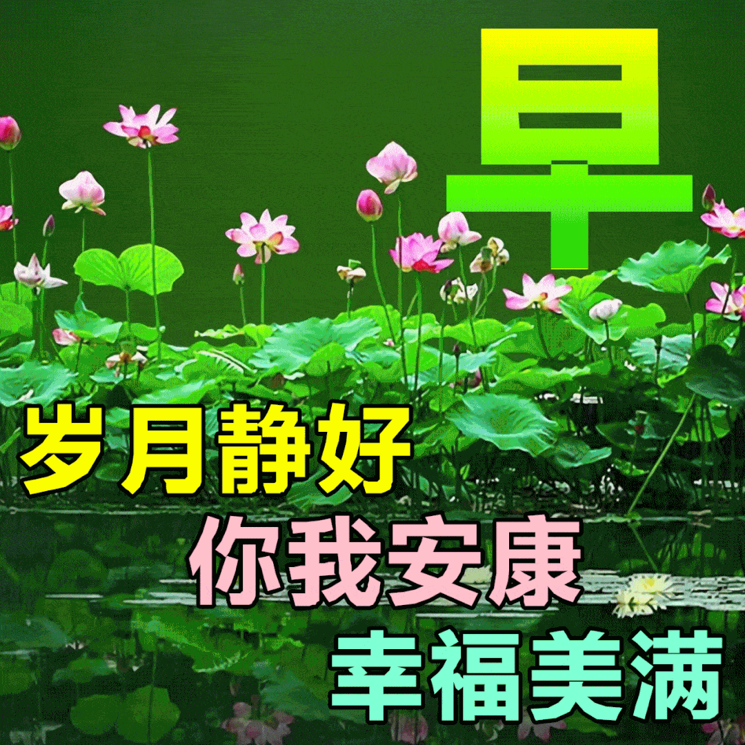 逐花归海VS电玩雷克斯，形象上赢了，细节处雷克斯赢麻了，附建议_搜狐网, image size:1080x1080