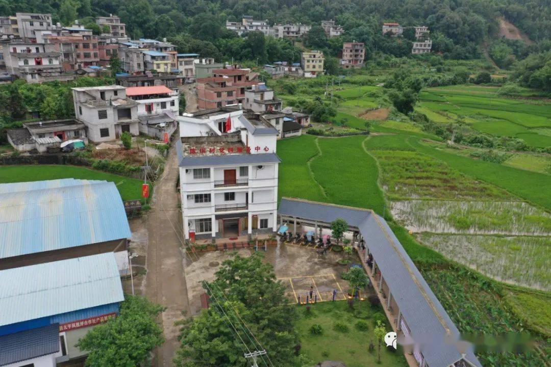 太平镇陈垌村村级集体经济达60万元!