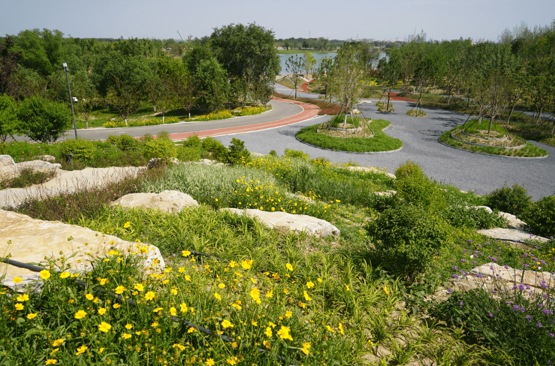 讓通州的小兔能一路跑到延慶去_森林_溫榆河_公園