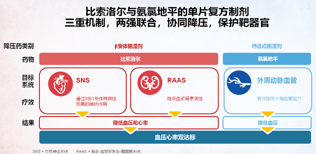 霍勇教授:比索洛尔氨氯地平片(康忻安03)是中国目前唯一上市的bb