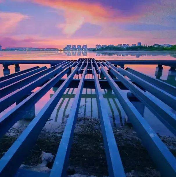 大庆项目建设如火如荼!空中看_兰德湖_投资_产业