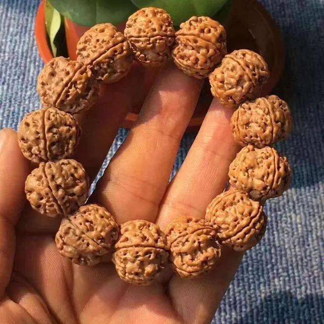 金刚菩提的5大盘玩禁忌，沾一样，你的金刚菩提就“完蛋”了！-图8