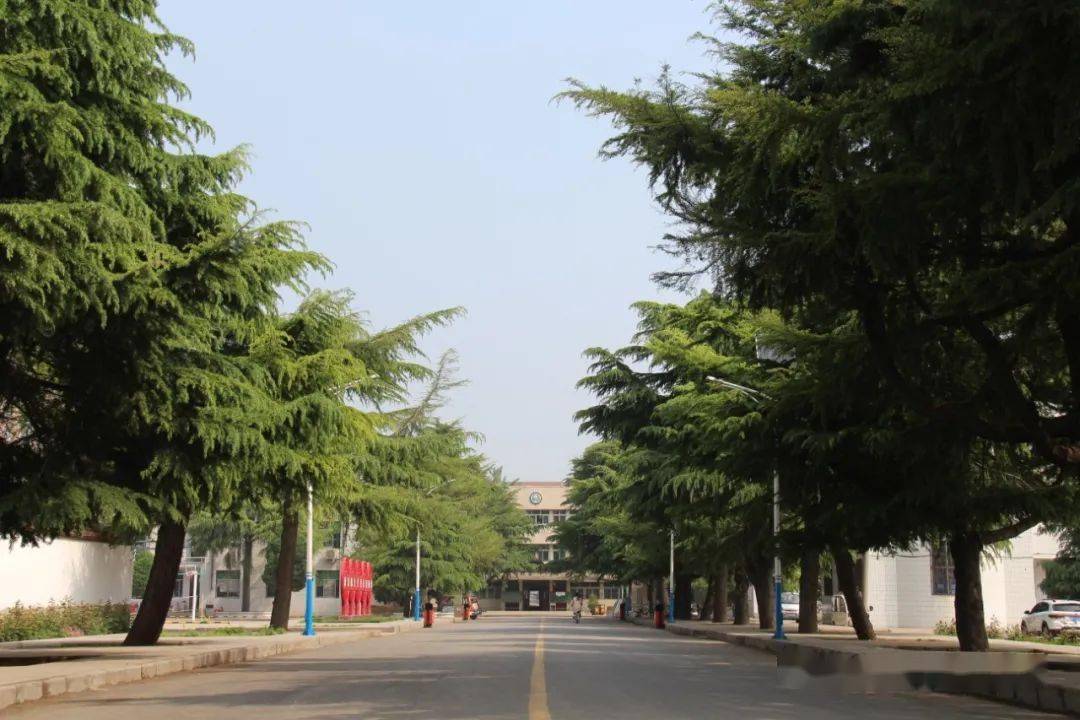 尉氏三中洧川校区2022年再创辉煌!