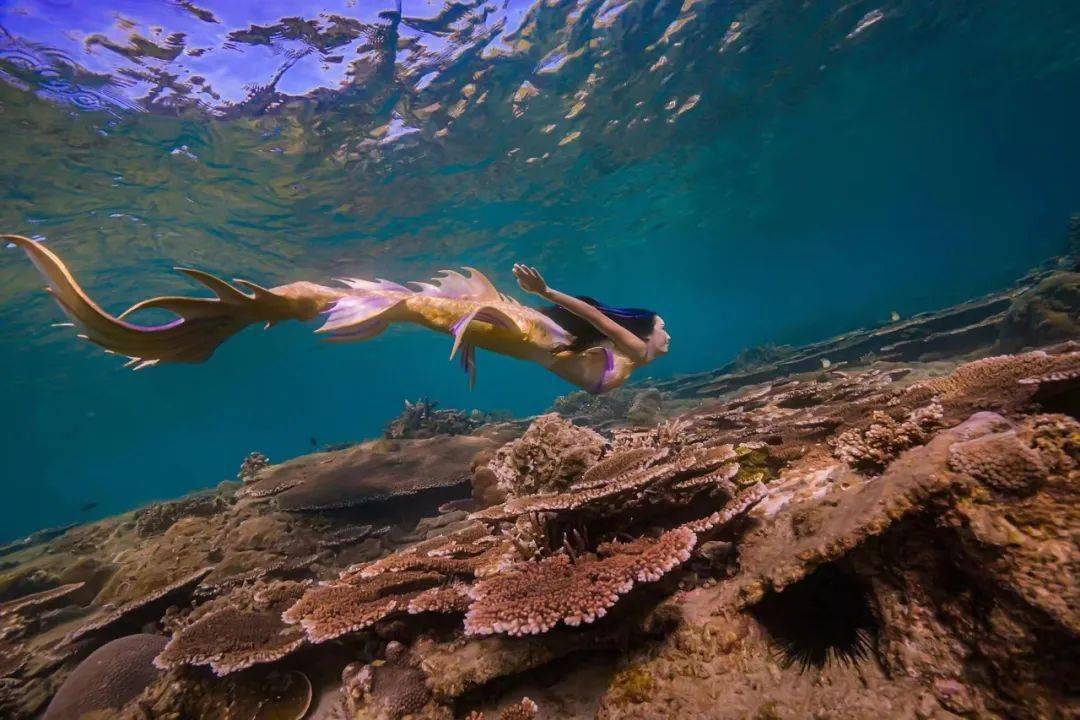 出处万宁发布厅6月28日上午,国家潜水南方训练基地揭牌仪式暨加井岛