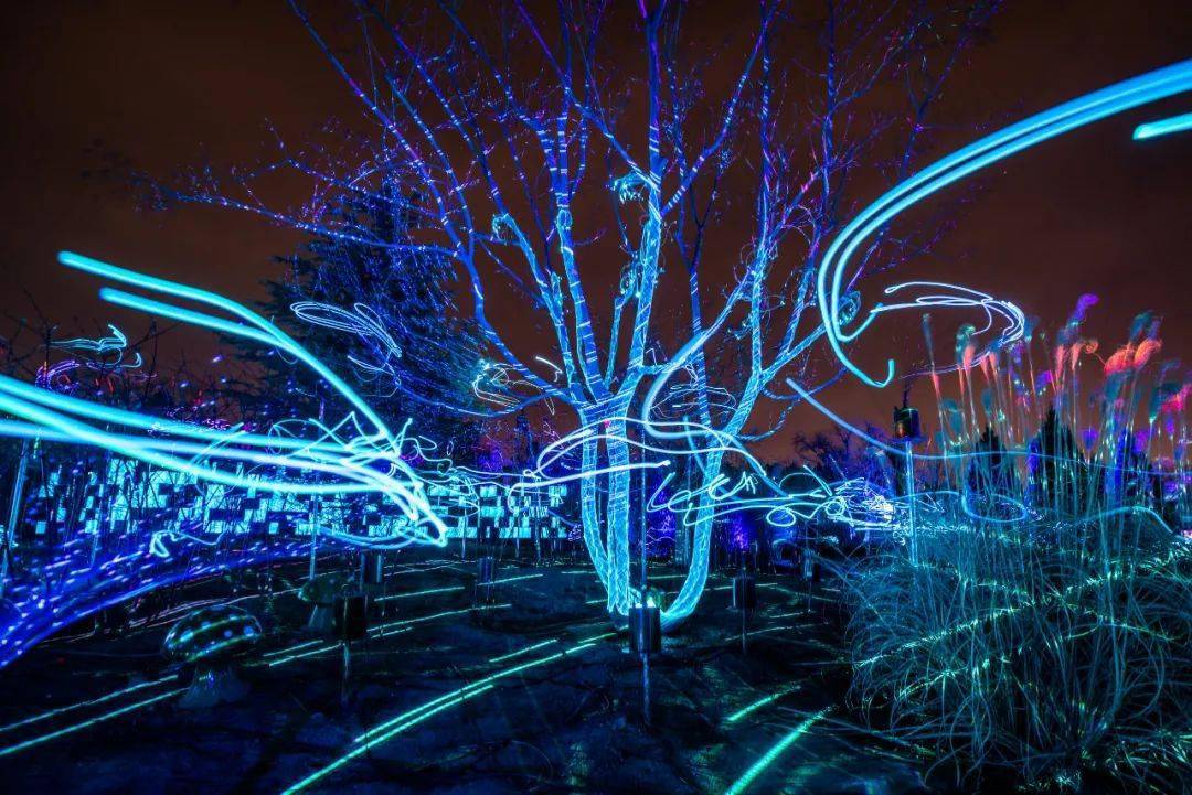 7月1日起来林拥城体验大型沉浸式光影秀