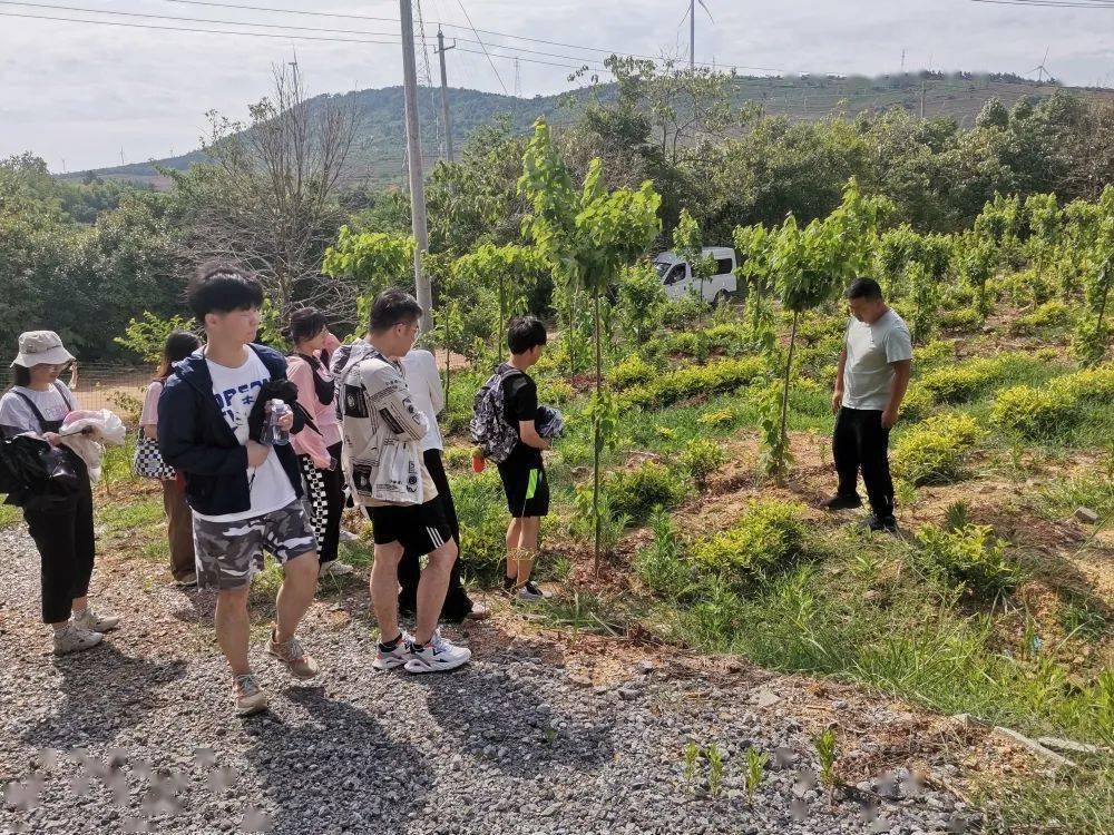 实践青春扬帆宣城大学生来宣社会实践简讯二