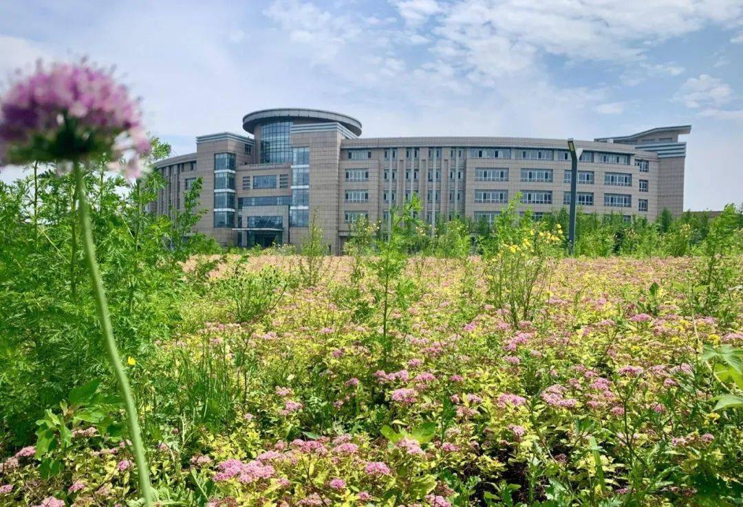 遼寧石油化工大學夏景大放送