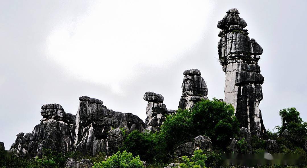 经风霜伫立天地,亘古不变的"万年灵芝"_石林_景区_石柱