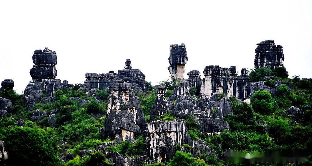 经风霜伫立天地,亘古不变的"万年灵芝"_石林_景区_石柱