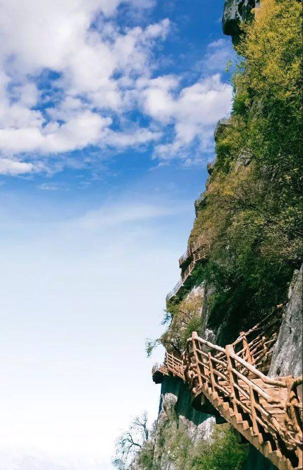 飞瀑流云秦岭林海深处红河谷秘境还你清凉一夏