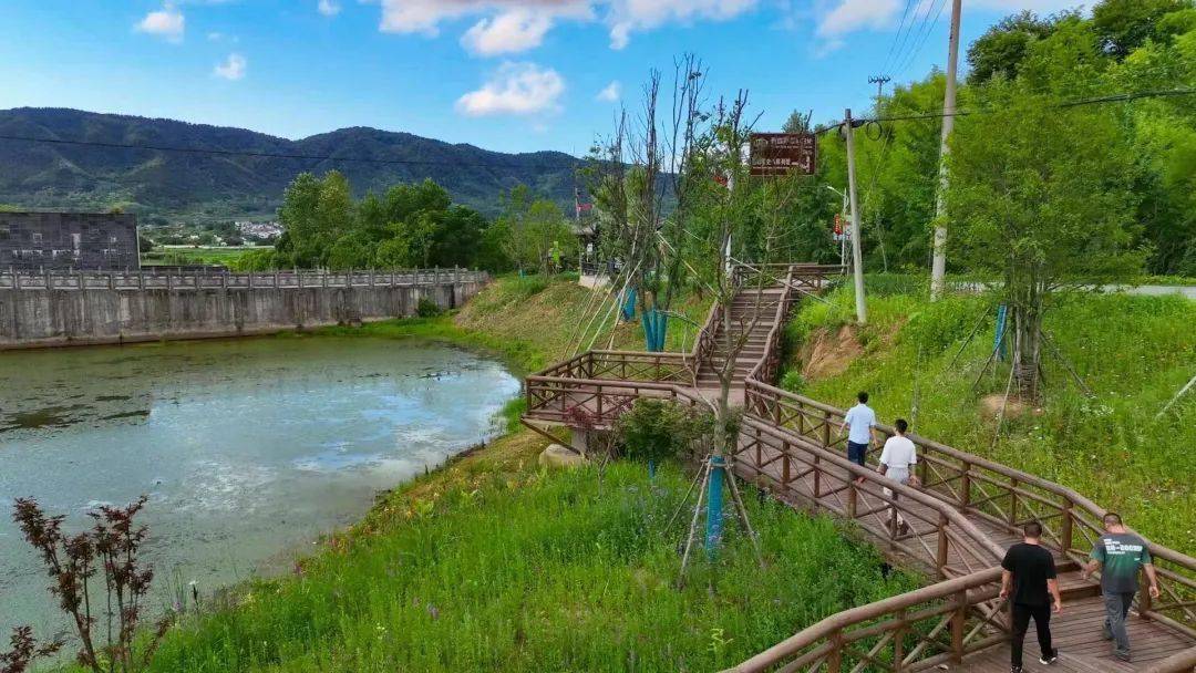 泾县云岭美丽公路迎来"颜值高峰期"_荷花_荷塘_景观