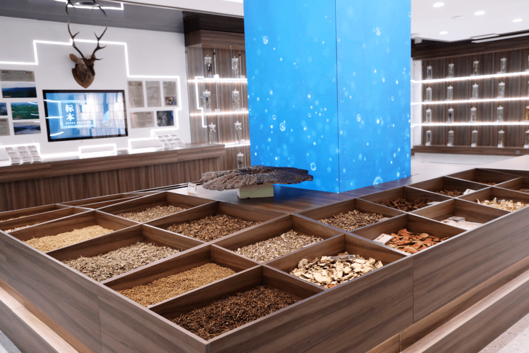 在中岛展柜中展示了28种筠连县代表性中药材实物标本可以更直观地了解