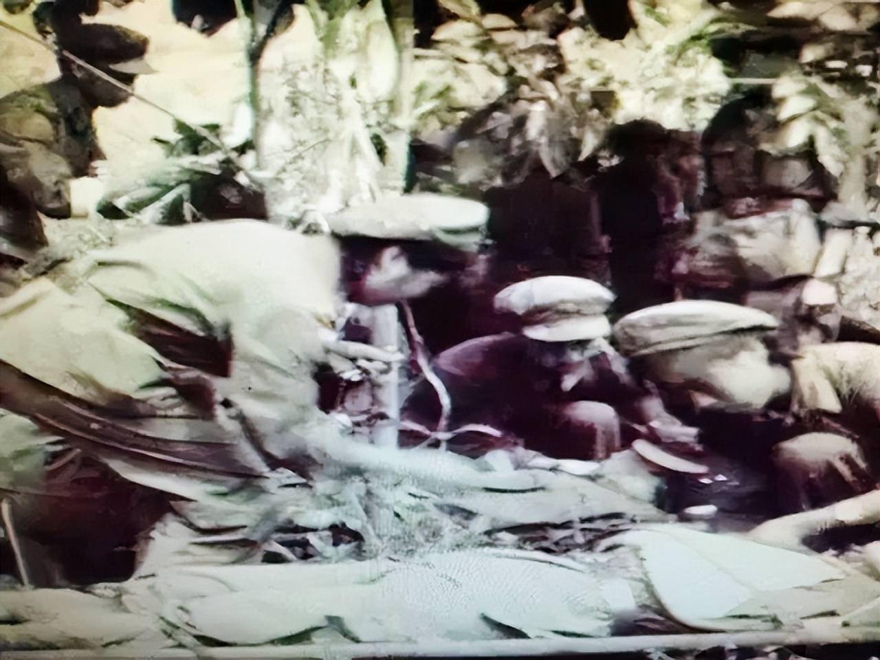 86年老山战场照《死吻》:亲吻临终士兵的女战士张茹,后来怎样了_赵维