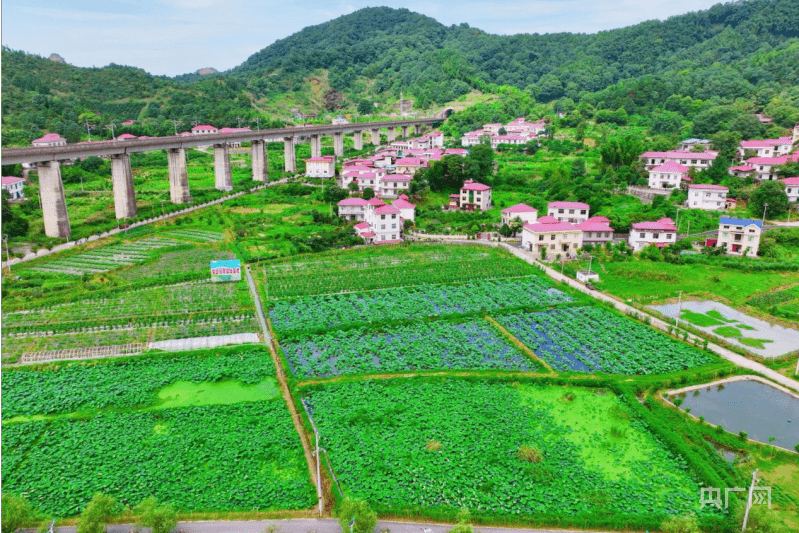 【航拍赣鄱】青山绿水 夏日乡村入画来