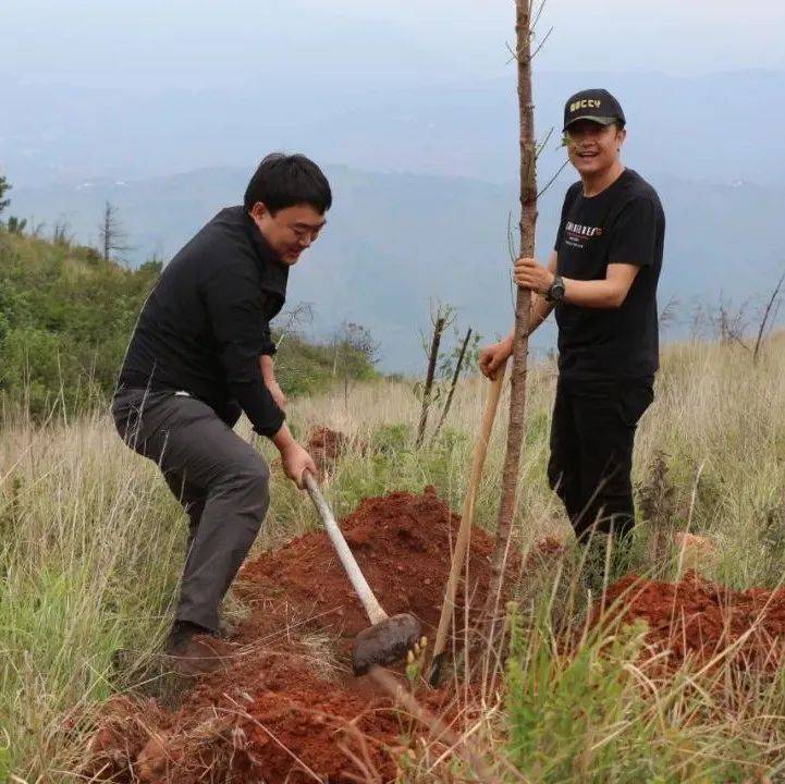 植树添新绿，不负好春光！开展义务植树主题党日活动 街道 秦有聪 何关权