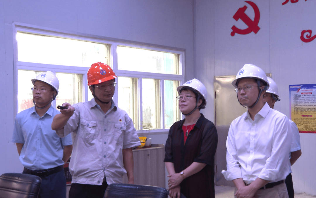 市领导陈江帆到广东省大宝山矿业有限公司调研_生产_防控_发展