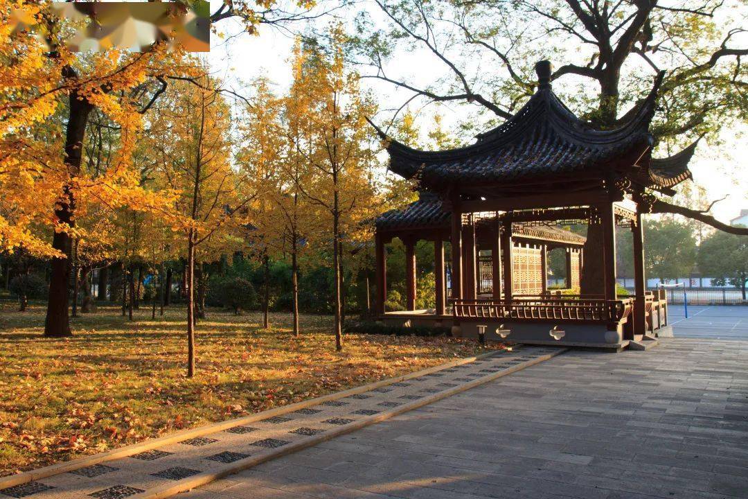 同庆九秩 | 绍兴市稽山中学2022年新生入学须知