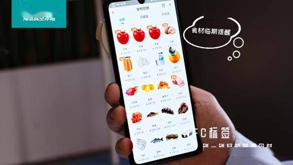 海信真空冰箱呈现极致保鲜力，“真空+智能”成就遥遥领“鲜”-家电圈官网
