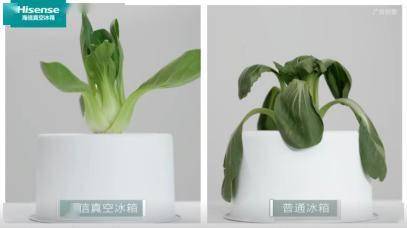 海信真空冰箱呈现极致保鲜力，“真空+智能”成就遥遥领“鲜”-家电圈官网