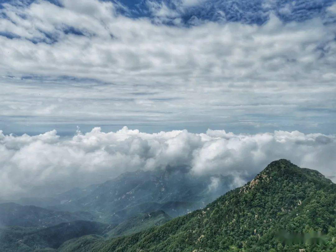 泰山再现云海玉盘奇观_景区_刘佐_驾雾