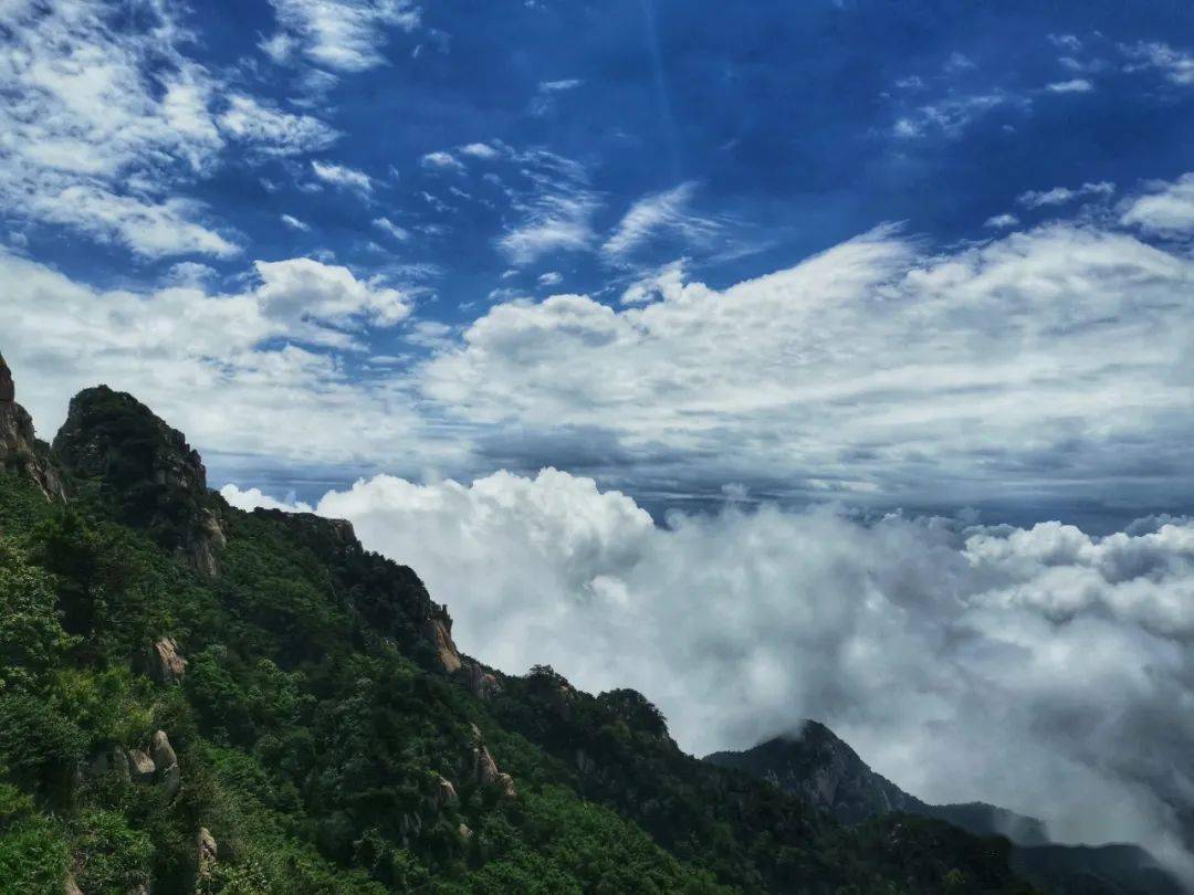 泰山再现云海玉盘奇观_景区_刘佐_驾雾