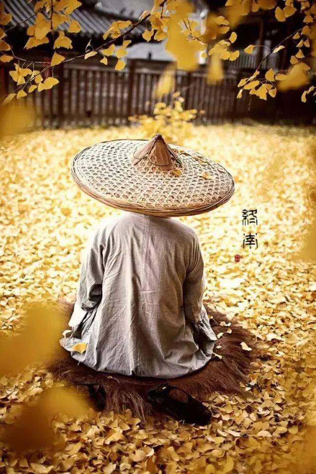 智者常低头好文