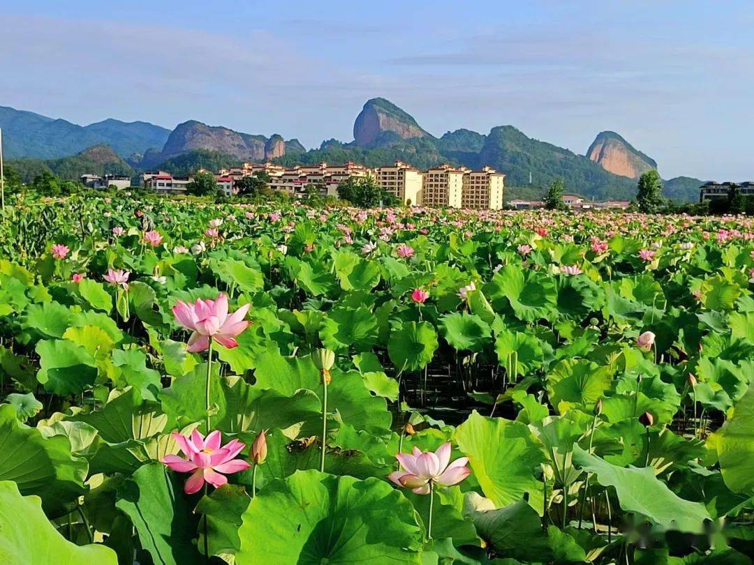 宁都风景图片