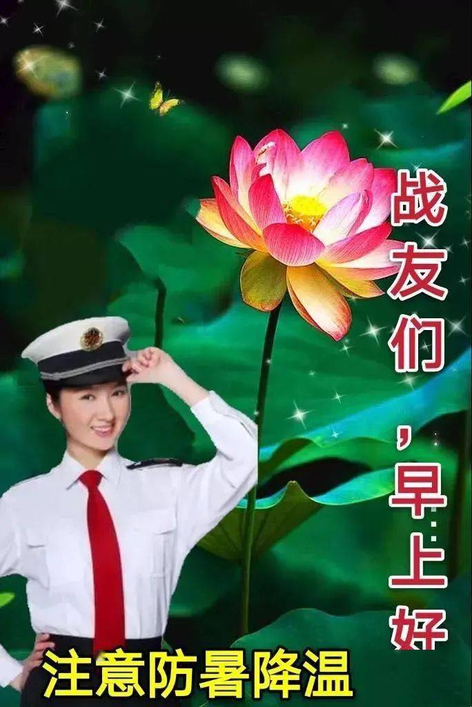 7月5日最新清晨问候大家早上好的漂亮鲜花图片早上好温馨祝福语录图片