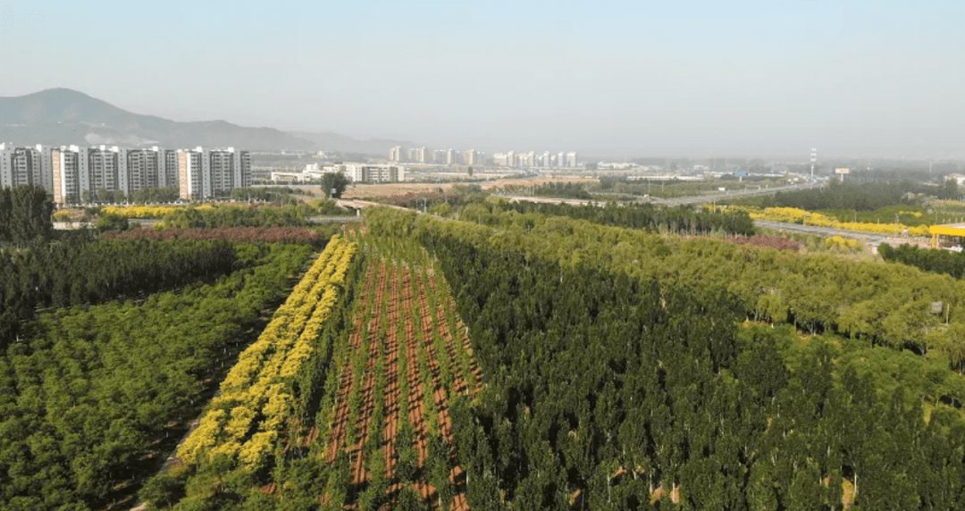 北京市两轮百万亩造林绿化经验总结_森林_空间体系_城市
