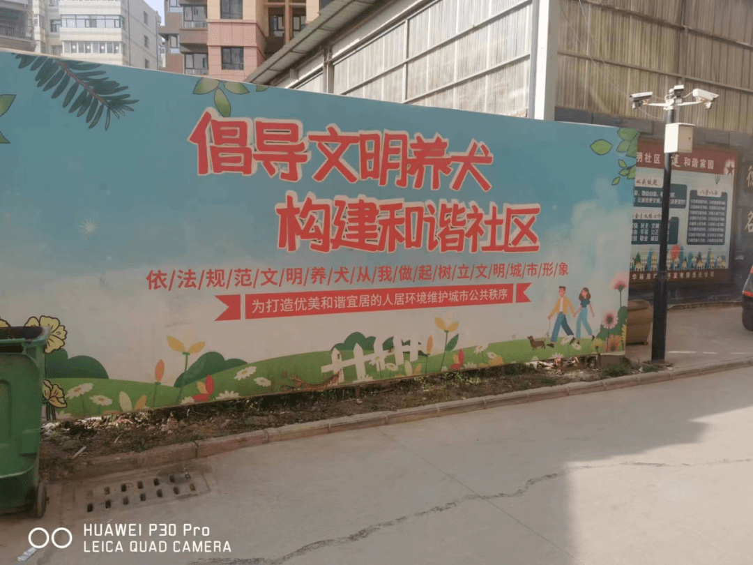 【创城公益广告四】公益广告宣传:秀出城市文明别样风景_社区_小区