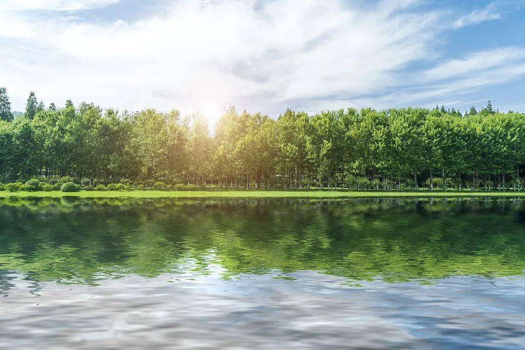 今日小暑丨温风至盛夏启